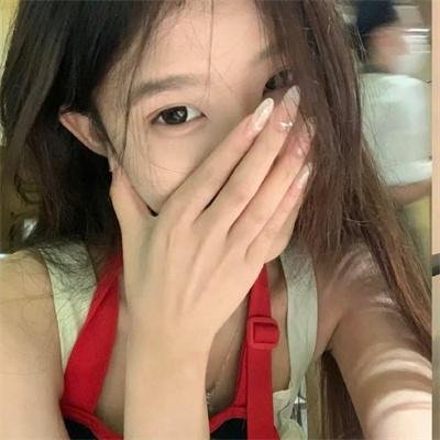 月之鸟 封面
